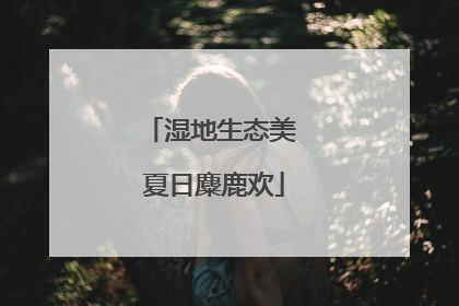 湿地生态美 夏日麋鹿欢