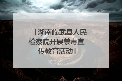 湖南临武县人民检察院开展禁毒宣传教育活动