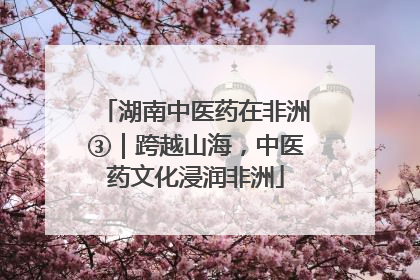 湖南中医药在非洲③｜跨越山海，中医药文化浸润非洲