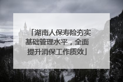 湖南人保寿险夯实基础管理水平，全面提升消保工作质效