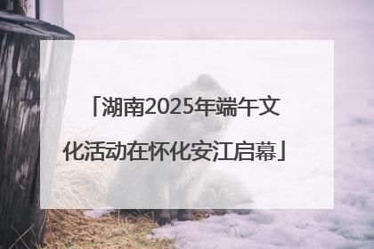 湖南2025年端午文化活动在怀化安江启幕