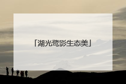 湖光鹭影生态美