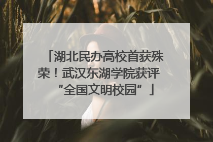 湖北民办高校首获殊荣！武汉东湖学院获评“全国文明校园”
