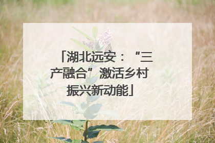 湖北远安：“三产融合”激活乡村振兴新动能