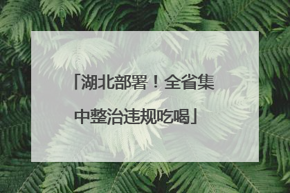 湖北部署！全省集中整治违规吃喝