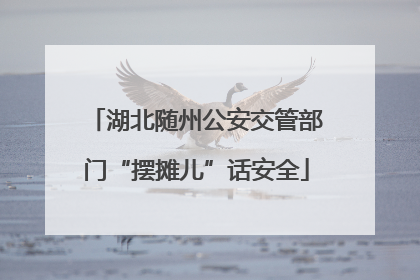 湖北随州公安交管部门“摆摊儿”话安全