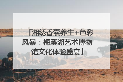 湘绣香囊养生+色彩风暴：梅溪湖艺术博物馆文化体验盛宴