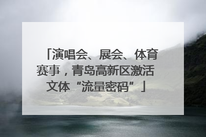 演唱会、展会、体育赛事，青岛高新区激活文体“流量密码”