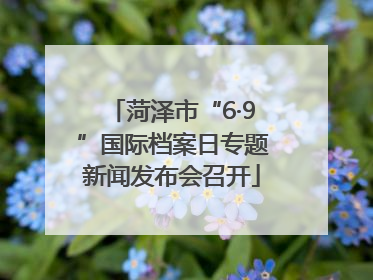 菏泽市“6·9”国际档案日专题新闻发布会召开