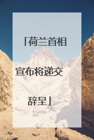 荷兰首相宣布将递交辞呈
