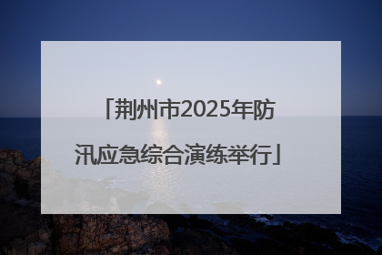荆州市2025年防汛应急综合演练举行