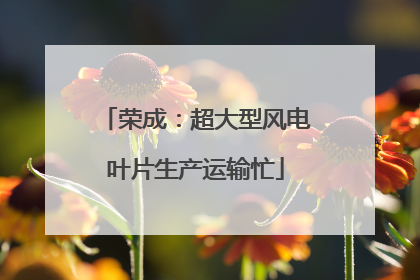 荣成：超大型风电叶片生产运输忙