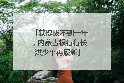 获提拔不到一年，内蒙古银行行长洪少平再履新