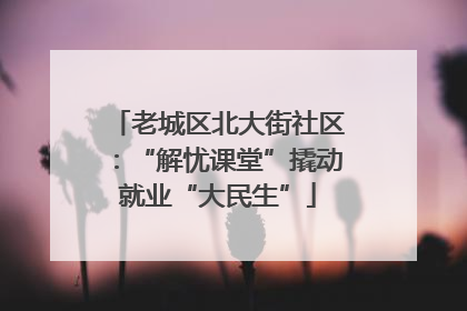 老城区北大街社区：“解忧课堂”撬动就业“大民生”