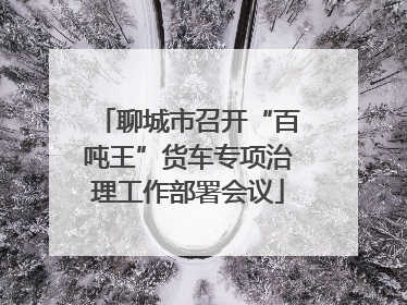 聊城市召开“百吨王”货车专项治理工作部署会议