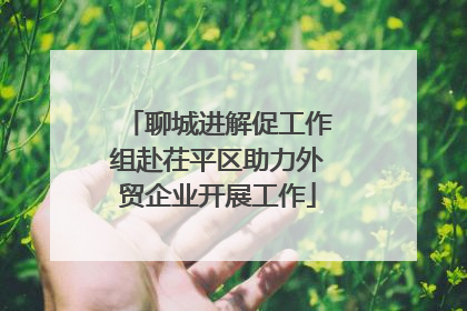 聊城进解促工作组赴茌平区助力外贸企业开展工作