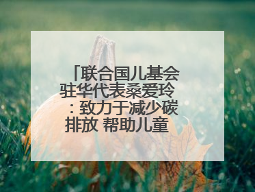 联合国儿基会驻华代表桑爱玲：致力于减少碳排放 帮助儿童适应气候变化
