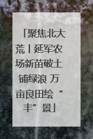 聚焦北大荒丨延军农场新苗破土铺绿浪 万亩良田绘“丰”景
