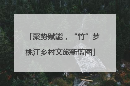 聚势赋能，“竹”梦桃江乡村文旅新蓝图