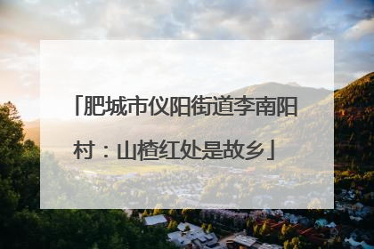 肥城市仪阳街道李南阳村：山楂红处是故乡