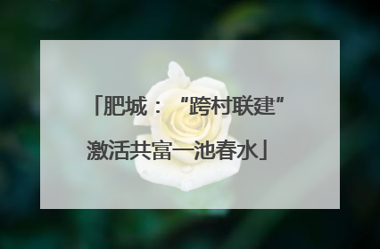 肥城：“跨村联建”激活共富一池春水