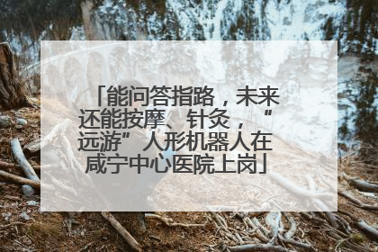 能问答指路，未来还能按摩、针灸，“远游”人形机器人在咸宁中心医院上岗