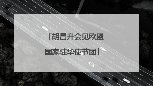 胡昌升会见欧盟国家驻华使节团
