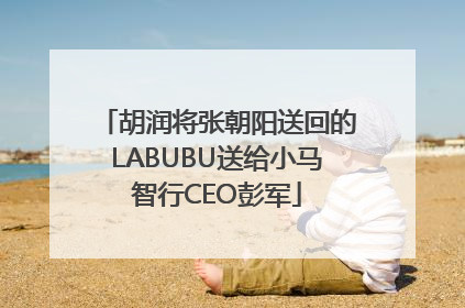 胡润将张朝阳送回的LABUBU送给小马智行CEO彭军