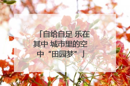 自给自足 乐在其中 城市里的空中“田园梦”