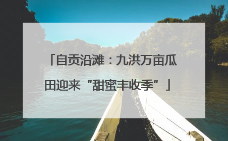 自贡沿滩：九洪万亩瓜田迎来“甜蜜丰收季”