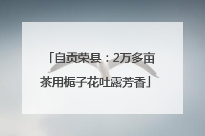 自贡荣县：2万多亩茶用栀子花吐露芳香