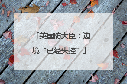 英国防大臣：边境“已经失控”