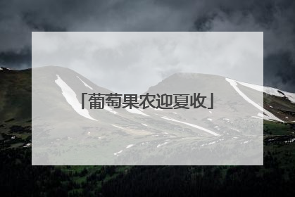 葡萄果农迎夏收