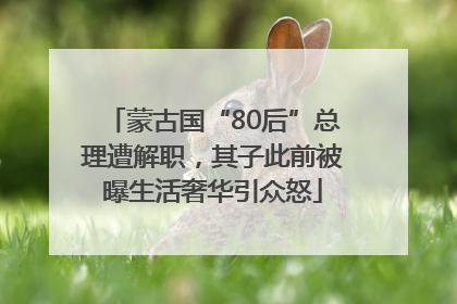 蒙古国“80后”总理遭解职，其子此前被曝生活奢华引众怒