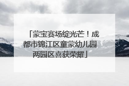 蒙宝赛场绽光芒！成都市锦江区童蒙幼儿园两园区喜获荣耀