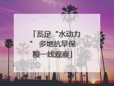蓄足“水动力” 多地抗旱保粮一线观察