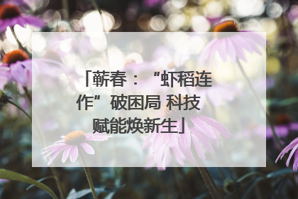 蕲春：“虾稻连作”破困局 科技赋能焕新生