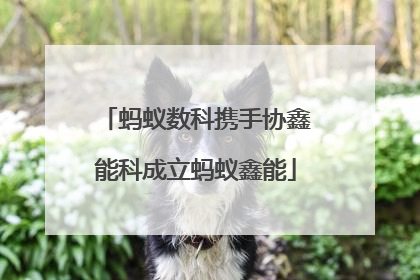 蚂蚁数科携手协鑫能科成立蚂蚁鑫能