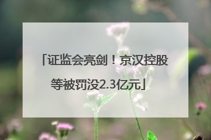 证监会亮剑！京汉控股等被罚没2.3亿元