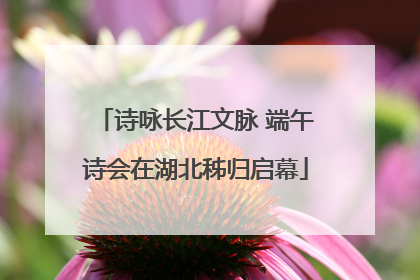 诗咏长江文脉 端午诗会在湖北秭归启幕