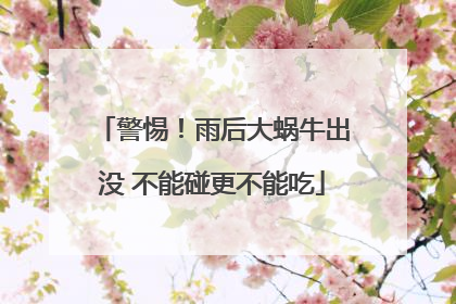 警惕！雨后大蜗牛出没 不能碰更不能吃