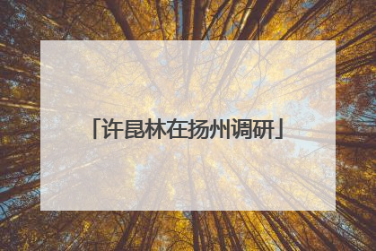 许昆林在扬州调研