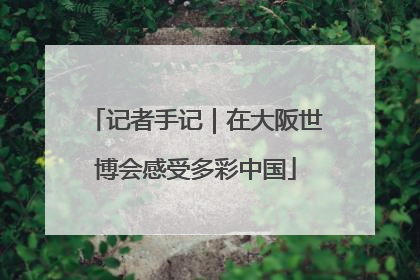 记者手记｜在大阪世博会感受多彩中国