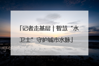 记者走基层｜智慧“水卫士”守护城市水脉