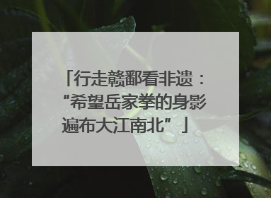 行走赣鄱看非遗：“希望岳家拳的身影遍布大江南北”