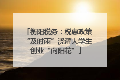 衡阳税务：税惠政策“及时雨”浇灌大学生创业“向阳花”