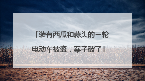 装有西瓜和蒜头的三轮电动车被盗，案子破了
