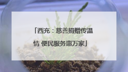 西充：慈善捐赠传温情 便民服务惠万家