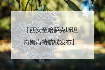 西安至哈萨克斯坦奇姆肯特航线发布