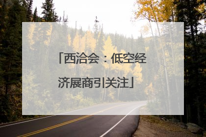 西洽会：低空经济展商引关注